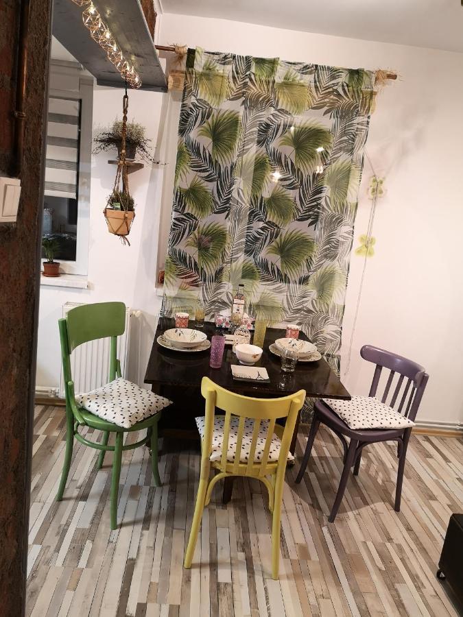 Ferienwohnung Little Modern Folk Apt Vălenii de Munte Exterior foto
